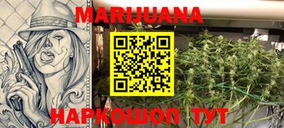 индика Можайск