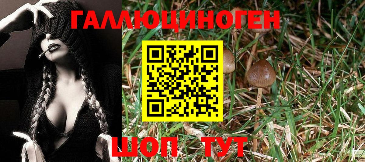 Галлюциногенные грибы ЛСД  Галлюциногенные грибы мухоморы  Бузулук  закладки  Вход с VPN 